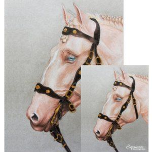 🐴 Horse drawing Wall Art Poster Print A4 Signed by artist